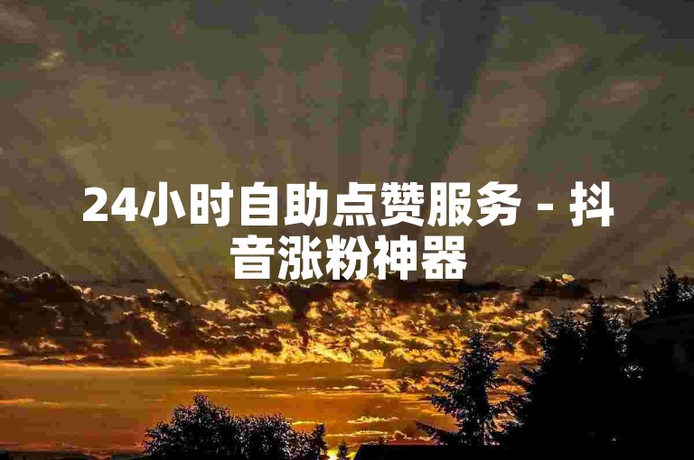 24小时自助点赞服务 - 抖音涨粉神器