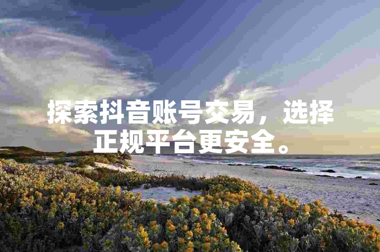 探索抖音账号交易，选择正规平台更安全。