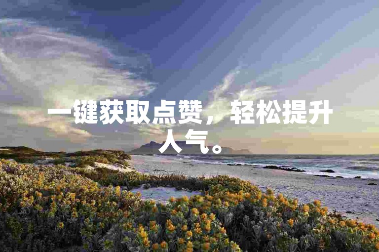 一键获取点赞，轻松提升人气。