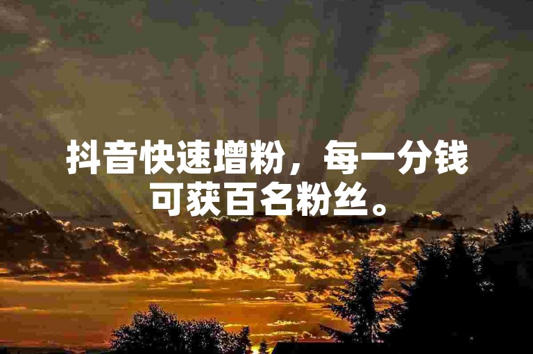 抖音快速增粉，每一分钱可获百名粉丝。