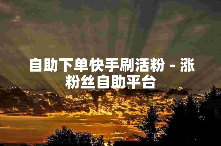 自助下单快手刷活粉 - 涨粉丝自助平台