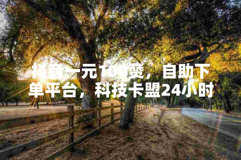 抖音一元100赞，自助下单平台，科技卡盟24小时服务。