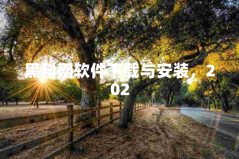 黑科网软件下载与安装，2025年必备技能！