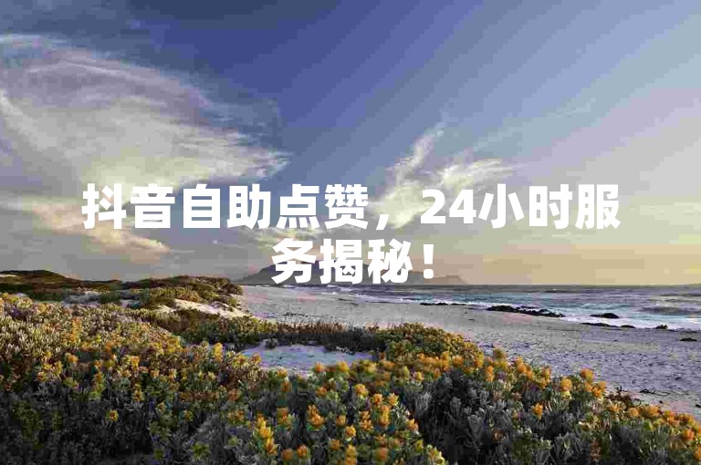 抖音自助点赞，24小时服务揭秘！