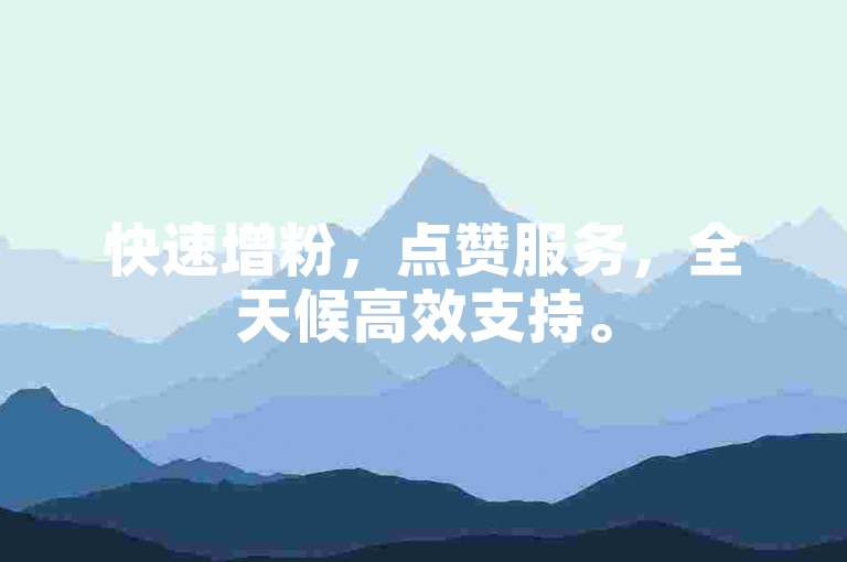 快速增粉，点赞服务，全天候高效支持。