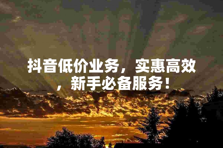 抖音低价业务，实惠高效，新手必备服务！