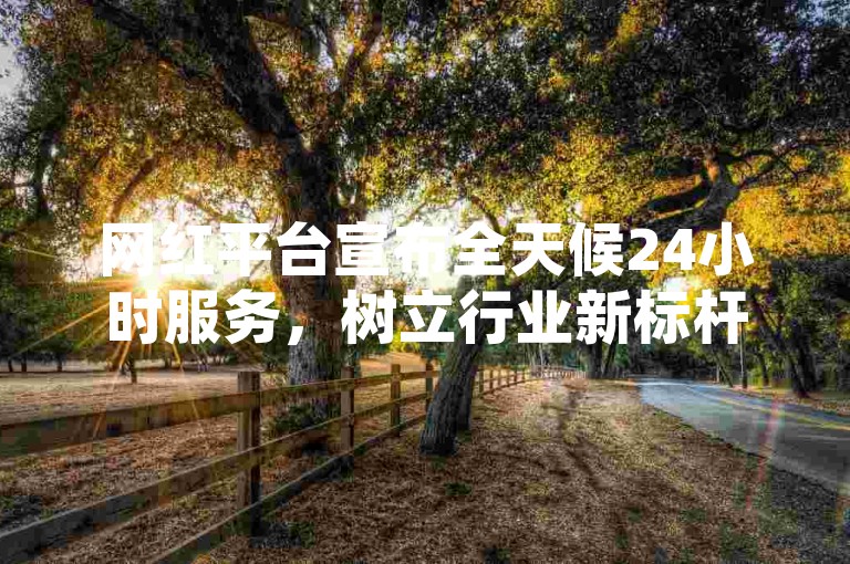 网红平台宣布全天候24小时服务，树立行业新标杆。
