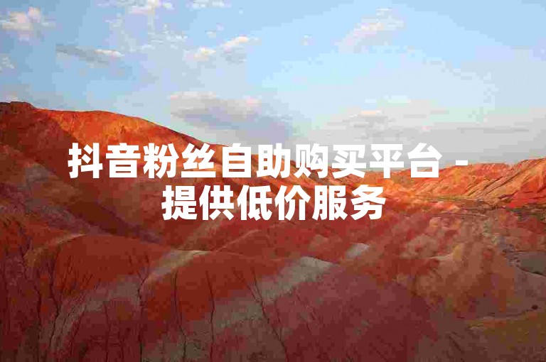 抖音粉丝自助购买平台 - 提供低价服务
