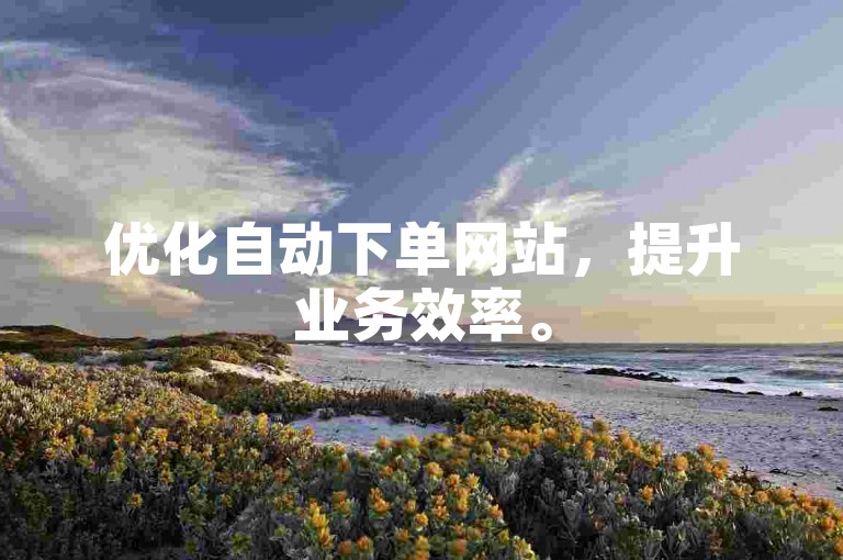 优化自动下单网站，提升业务效率。