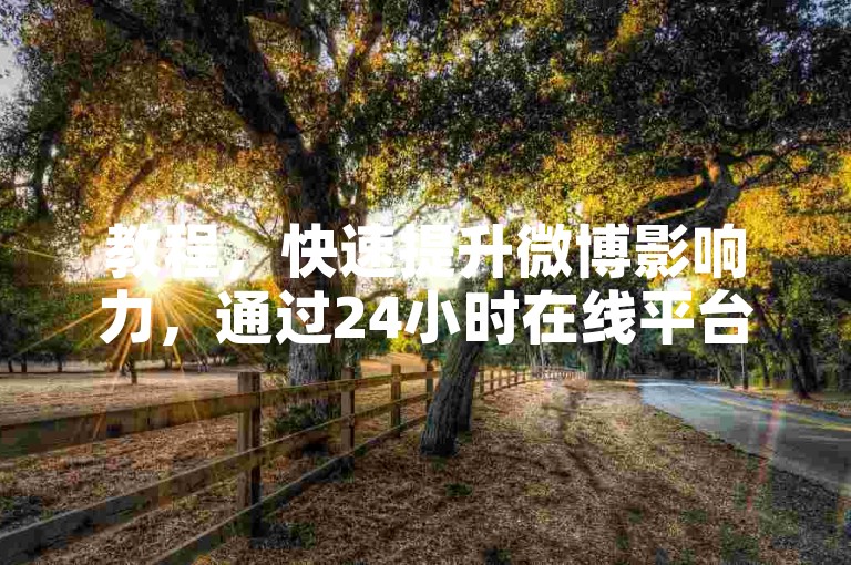 教程，快速提升微博影响力，通过24小时在线平台，用户可便捷下单购买粉丝和点赞服务，迅速提升微博账号的影响力。