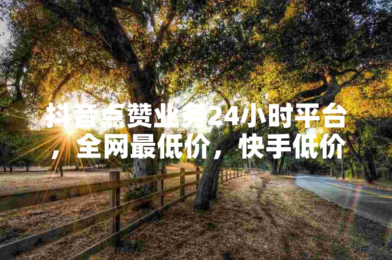 抖音点赞业务24小时平台，全网最低价，快手低价业务网探索无界。