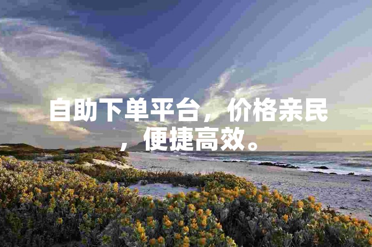 自助下单平台，价格亲民，便捷高效。