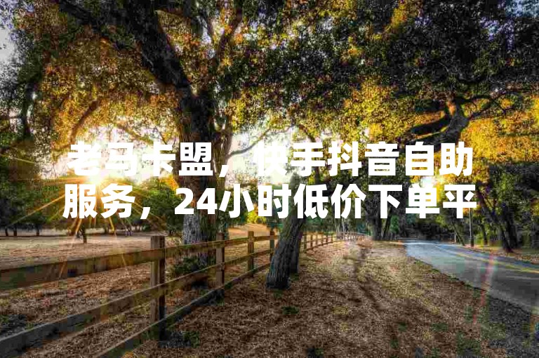 老马卡盟，快手抖音自助服务，24小时低价下单平台。