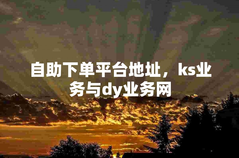 自助下单平台地址，ks业务与dy业务网