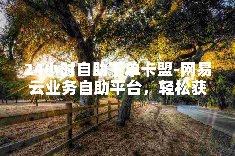 24小时自助下单卡盟-网易云业务自助平台，轻松获取音乐服务。