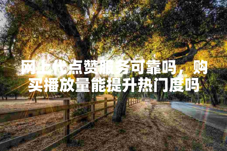 网上代点赞服务可靠吗，购买播放量能提升热门度吗？