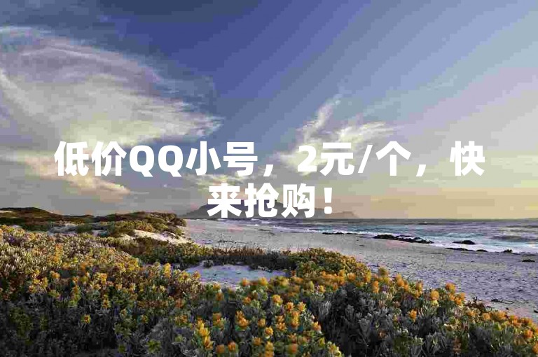 低价QQ小号，2元/个，快来抢购！