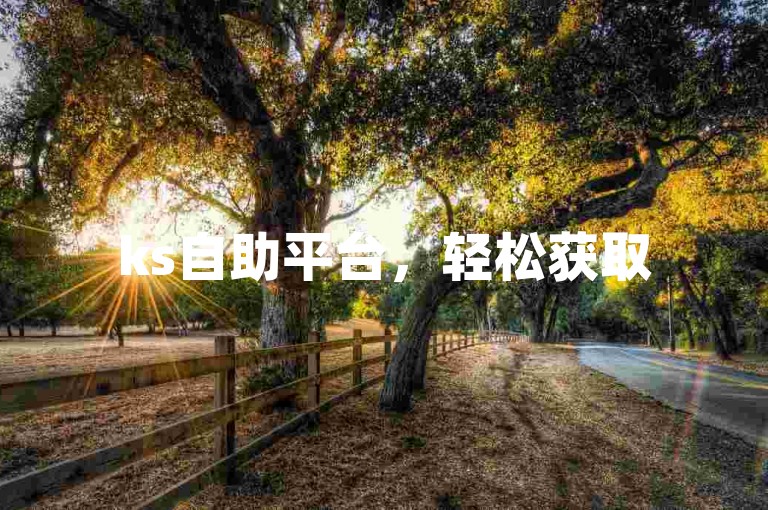 ks自助平台，轻松获取50个赞。