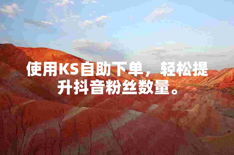 使用KS自助下单，轻松提升抖音粉丝数量。