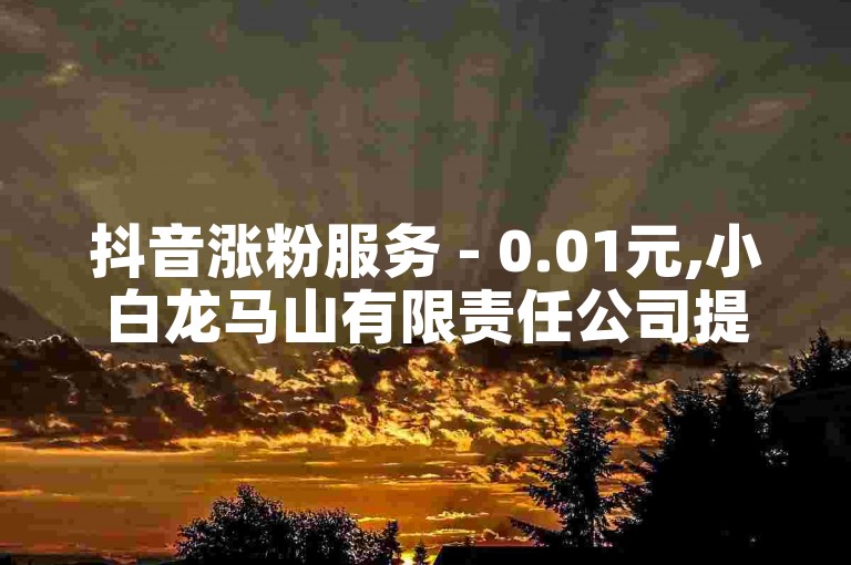 抖音涨粉服务 - 0.01元,小白龙马山有限责任公司提供。