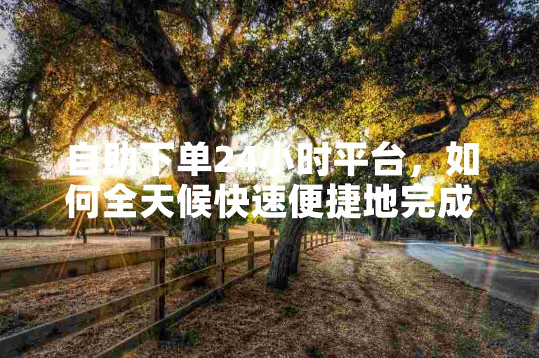 自助下单24小时平台，如何全天候快速便捷地完成订单？