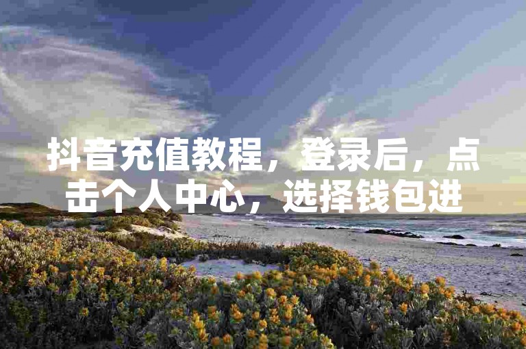 抖音充值教程，登录后，点击个人中心，选择钱包进行抖币充值。