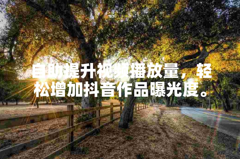 自助提升视频播放量，轻松增加抖音作品曝光度。