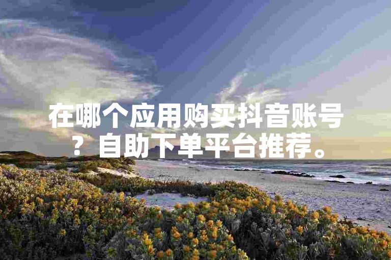 在哪个应用购买抖音账号？自助下单平台推荐。
