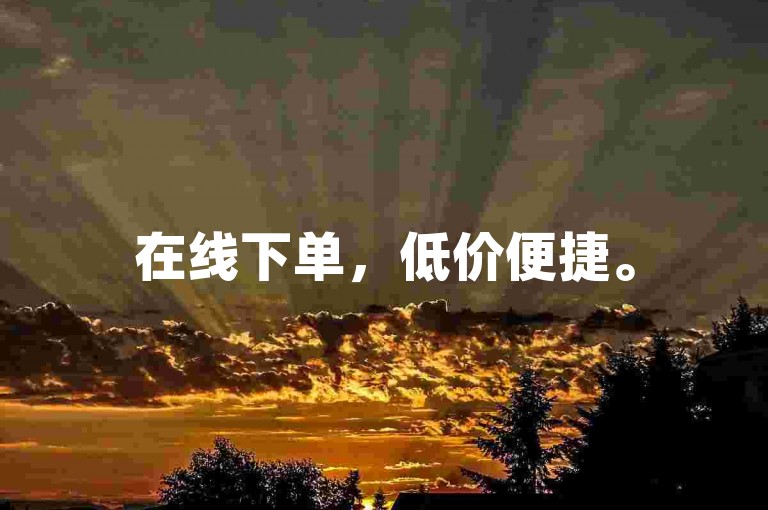 在线下单，低价便捷。