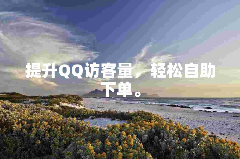 提升QQ访客量，轻松自助下单。
