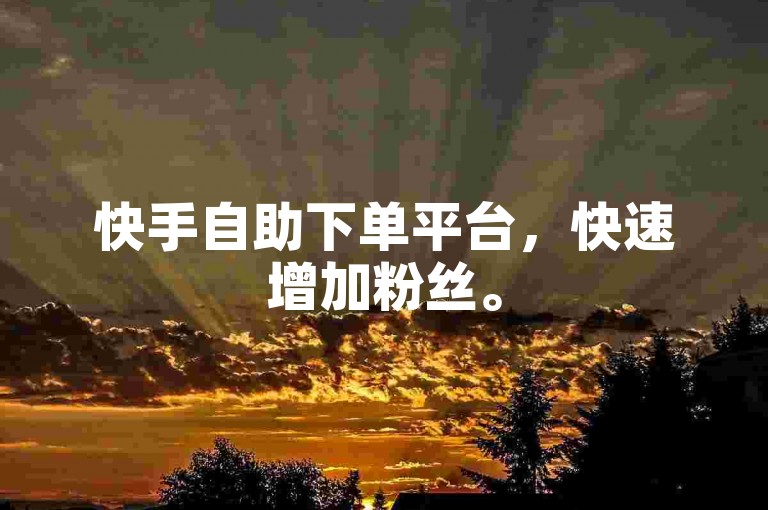快手自助下单平台，快速增加粉丝。