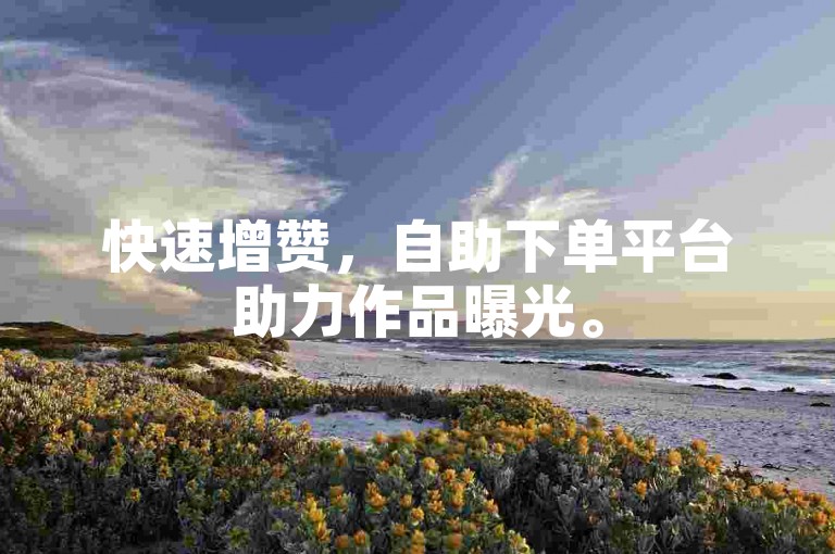 快速增赞，自助下单平台助力作品曝光。
