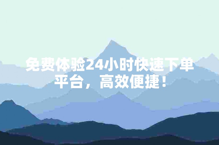 免费体验24小时快速下单平台，高效便捷！