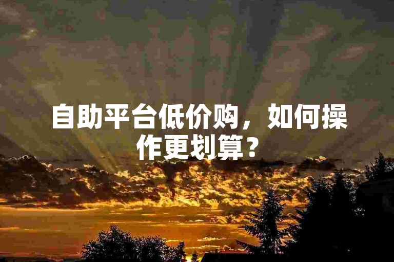 自助平台低价购，如何操作更划算？
