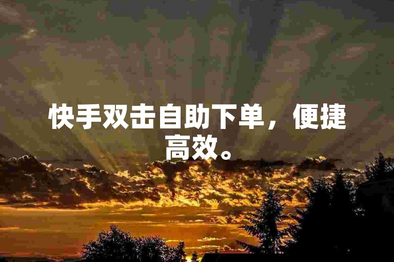 快手双击自助下单，便捷高效。