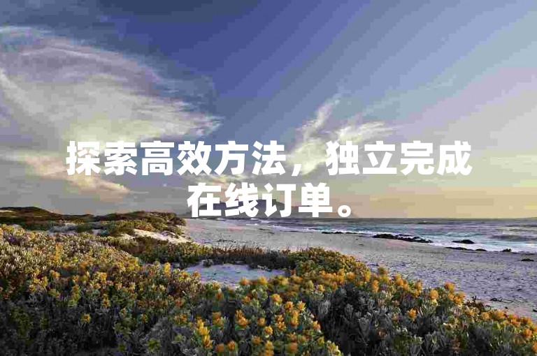 探索高效方法，独立完成在线订单。