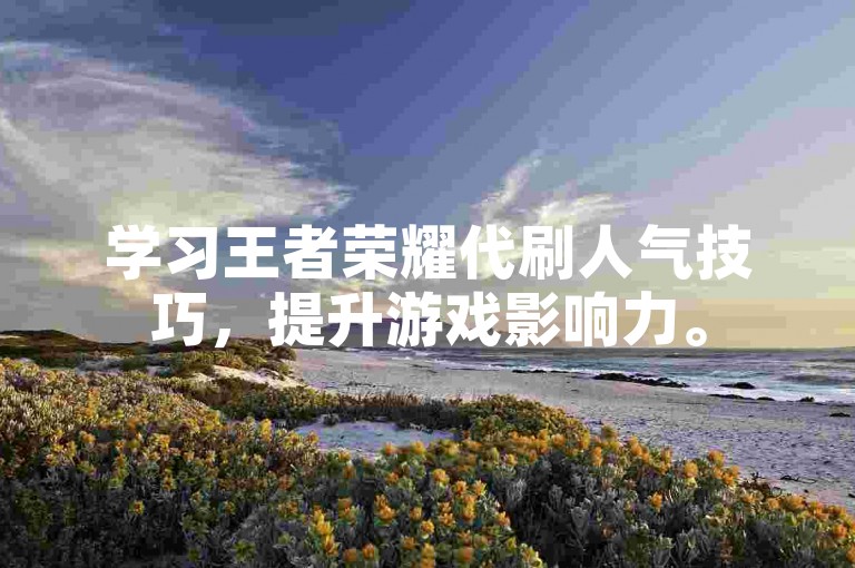 学习王者荣耀代刷人气技巧，提升游戏影响力。