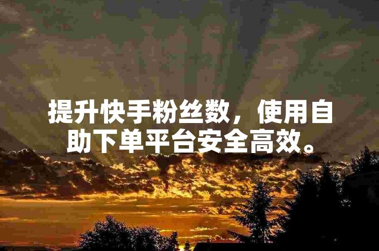 提升快手粉丝数，使用自助下单平台安全高效。