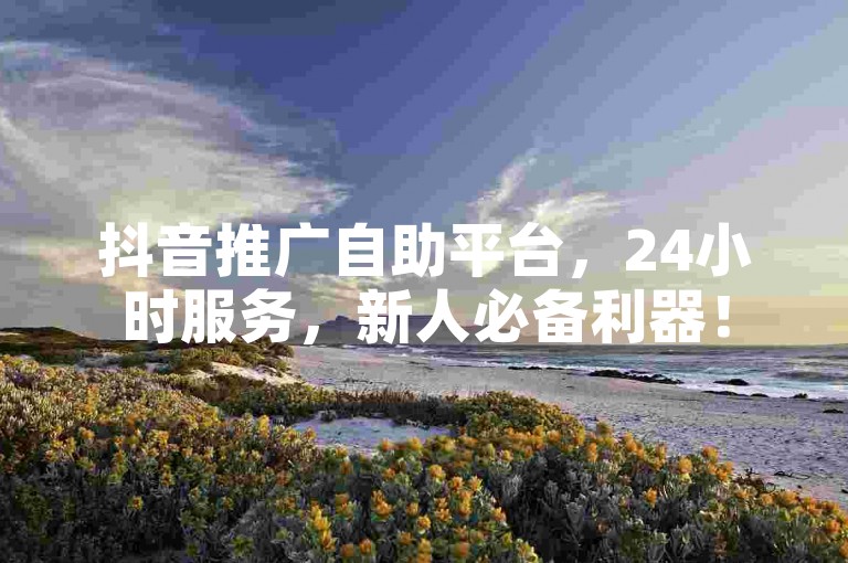 抖音推广自助平台，24小时服务，新人必备利器！