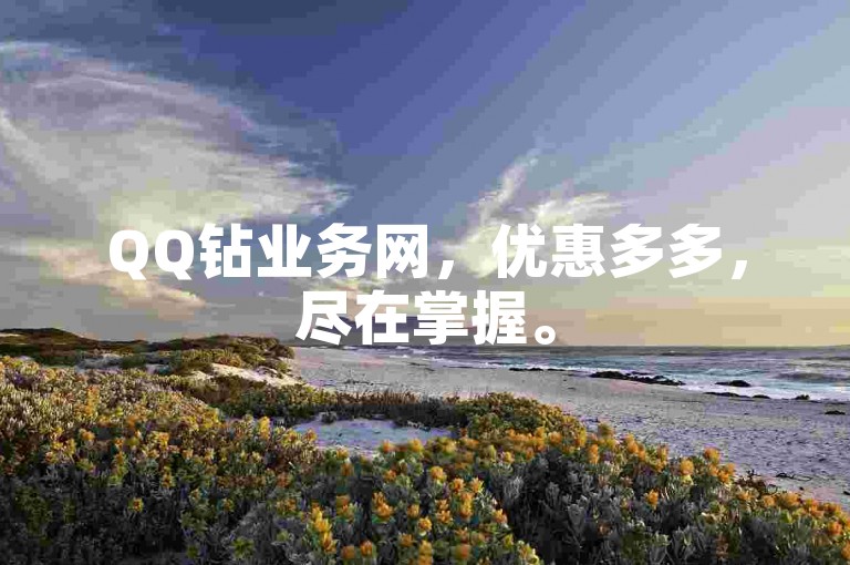 QQ钻业务网，优惠多多，尽在掌握。