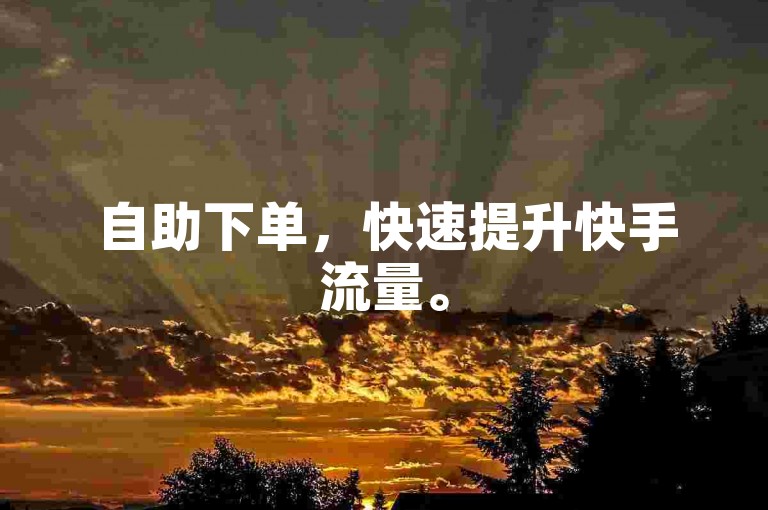 自助下单，快速提升快手流量。