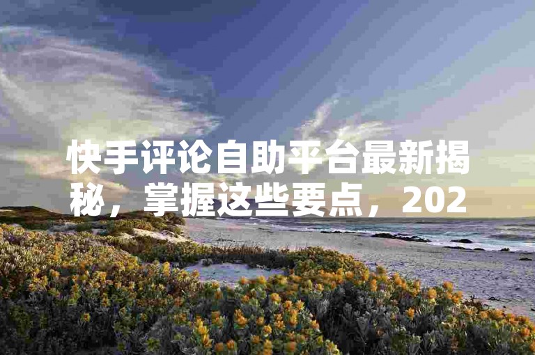 快手评论自助平台最新揭秘，掌握这些要点，2024必备！