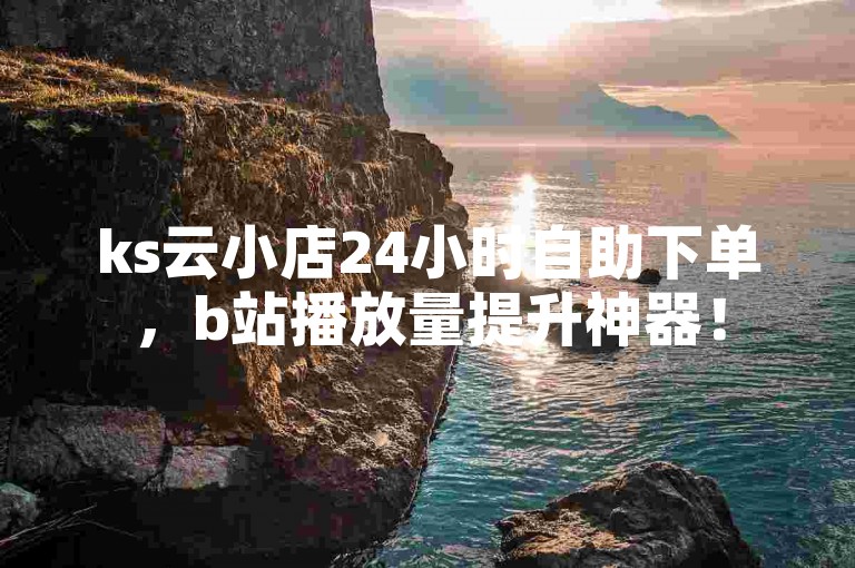 ks云小店24小时自助下单，b站播放量提升神器！