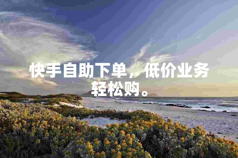 快手自助下单，低价业务轻松购。