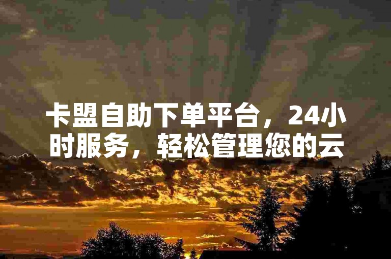 卡盟自助下单平台，24小时服务，轻松管理您的云商城订单。