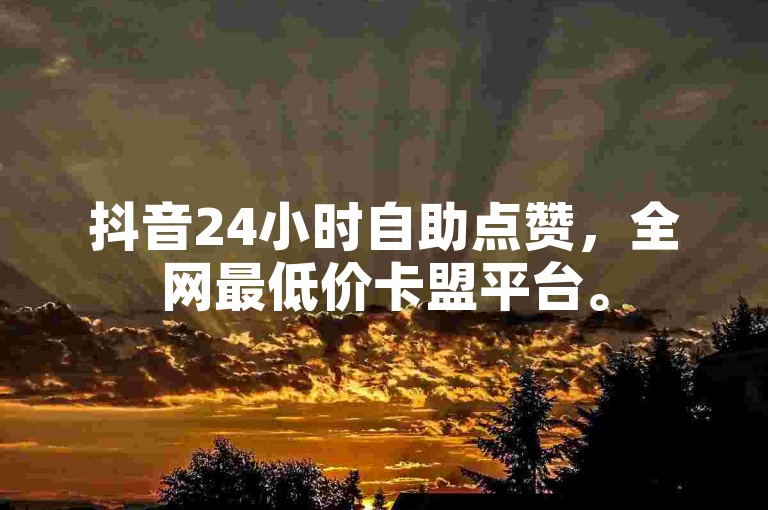 抖音24小时自助点赞，全网最低价卡盟平台。