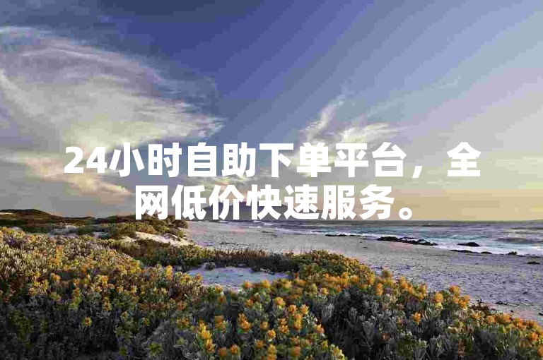 24小时自助下单平台，全网低价快速服务。