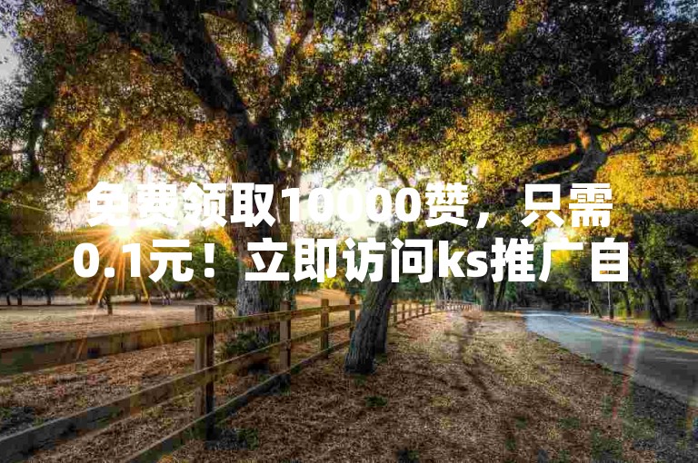 免费领取10000赞，只需0.1元！立即访问ks推广自助平台。