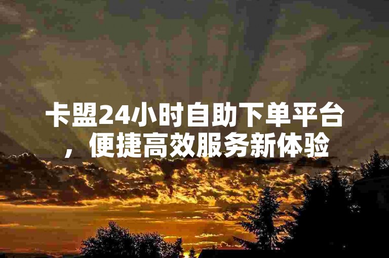 卡盟24小时自助下单平台，便捷高效服务新体验