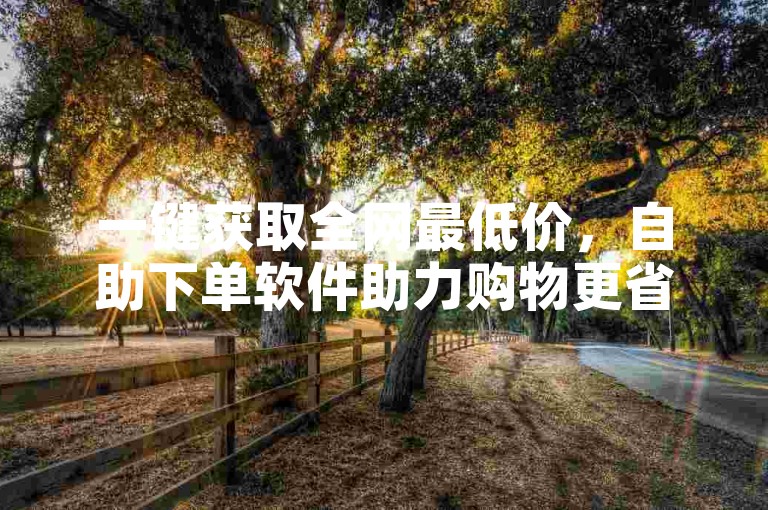 一键获取全网最低价，自助下单软件助力购物更省钱。